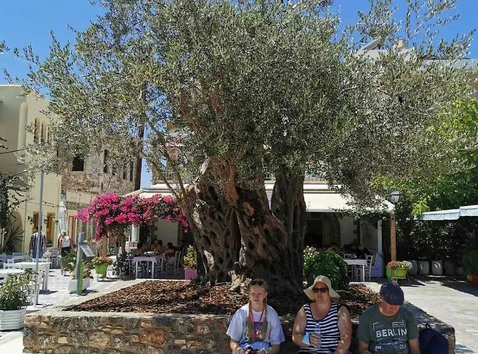 דירה Old Town Elpis *